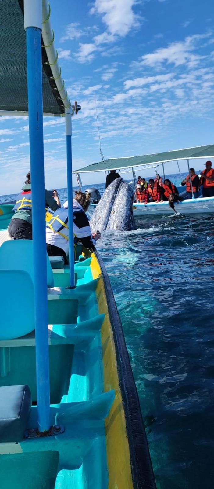 Hotel- Whale Tours And Sport Fishing Vista Mag-Bay Puerto San Carlos Kültér fotó